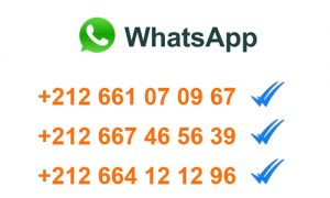 est car whatsapp